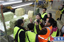 2015年荷斯坦代表团赴Balco南澳燕麦加工厂开展奶业技术交流